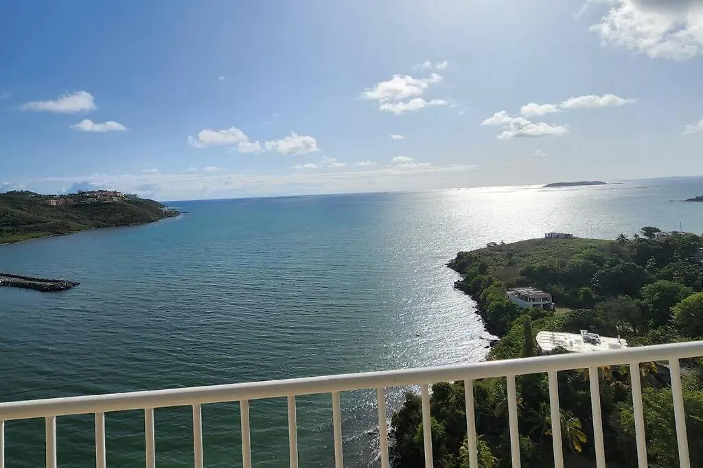 Lovely 2-2 Condo With The Best View Of Puerto Rico contacts
